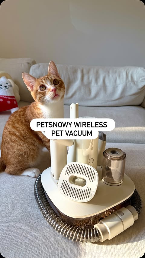 Instagram post by @gigixmeow for PetSnowy. Caption reads: @petsnowy_official did it again with their new....