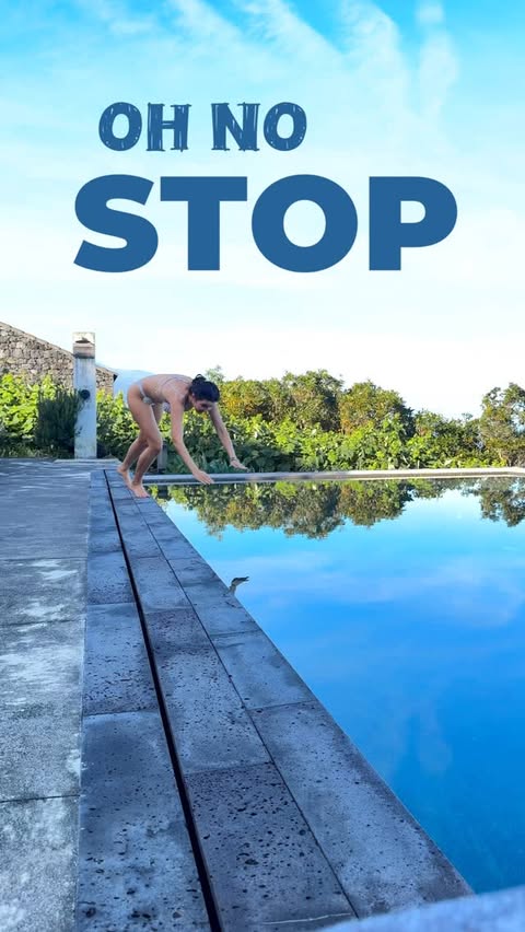 Instagram post by @wander.licious for DJI. Caption reads: The difference is night and day a d 🤯

DJI Osmo....