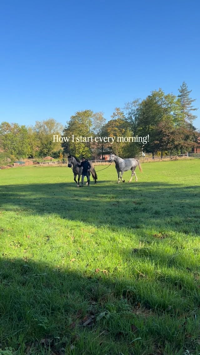 Instagram post by @nohorsehan for Symprove. Caption reads: [...] mornings always start with a shot of....