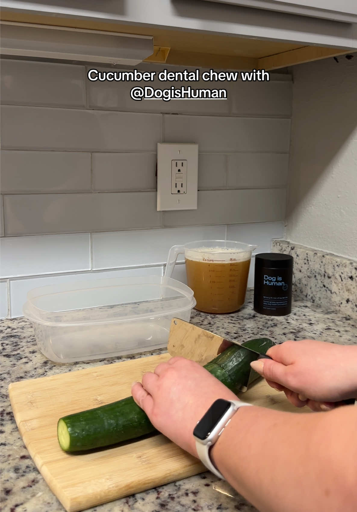 TikTok post by @toddodoggo for Dog is Human. Caption reads: [...] is officially obsessed. Check out @Dog is....
