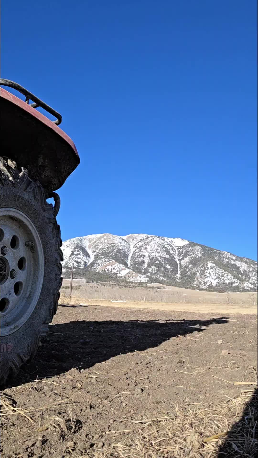 TikTok post by @badhosssilver for Ely Cattleman. Caption reads: Ely cattleman helped mold the western world. @Ely....