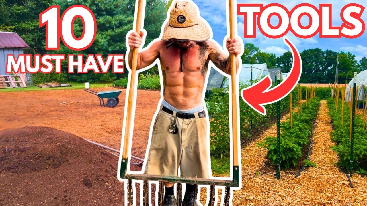 YouTube post by @chefsharvestfarm for Barrina. Caption reads: The ONLY 10 Tools You Need To Start A Market....