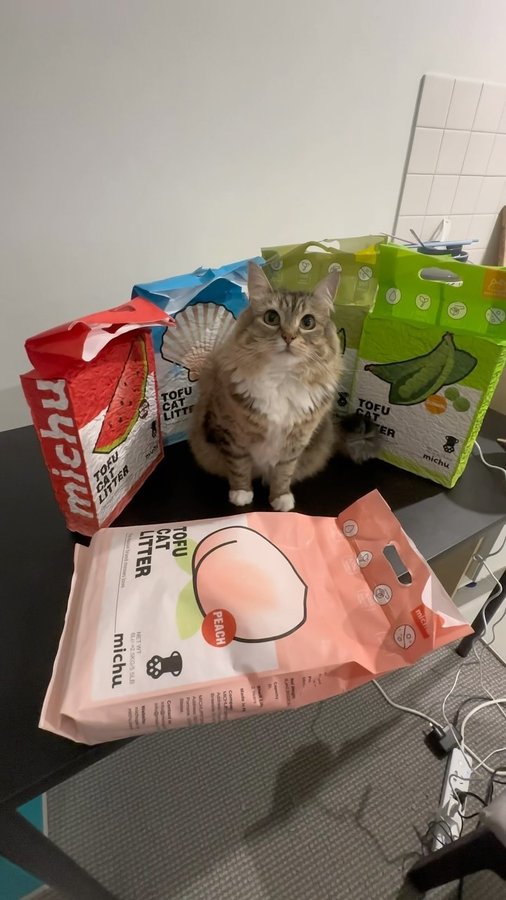 Instagram post by @lunaistabby for MICHUPET. Caption reads: Thank you @michupet_australia for the....