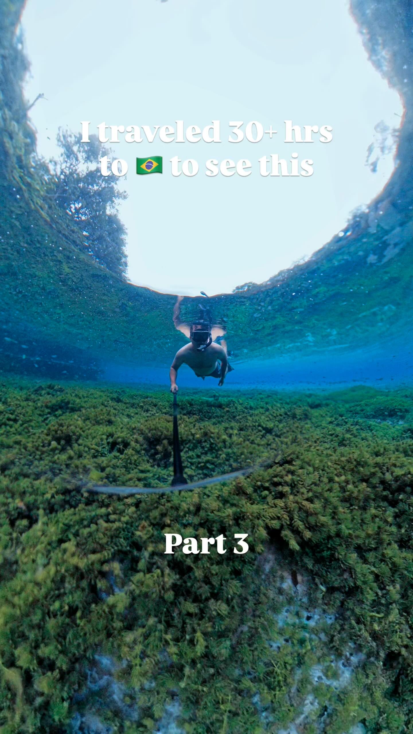 Instagram post by @caminhosdesconhecidos for Hygger Aquarium. Caption reads: Saw Oscars parents with some super curious babies!....