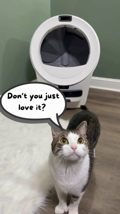 Instagram post by @catnamedroswell for Litter-Robot by Whisker. Caption reads: Roswell LOVES his Litter-Robot, and we do too! The....