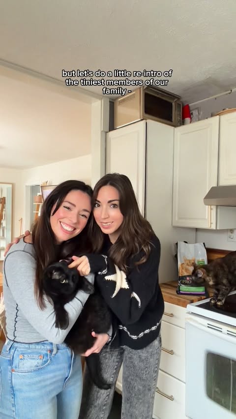 Instagram post by @allieandsam for Purina. Caption reads: [...] almost every way, except their love of....