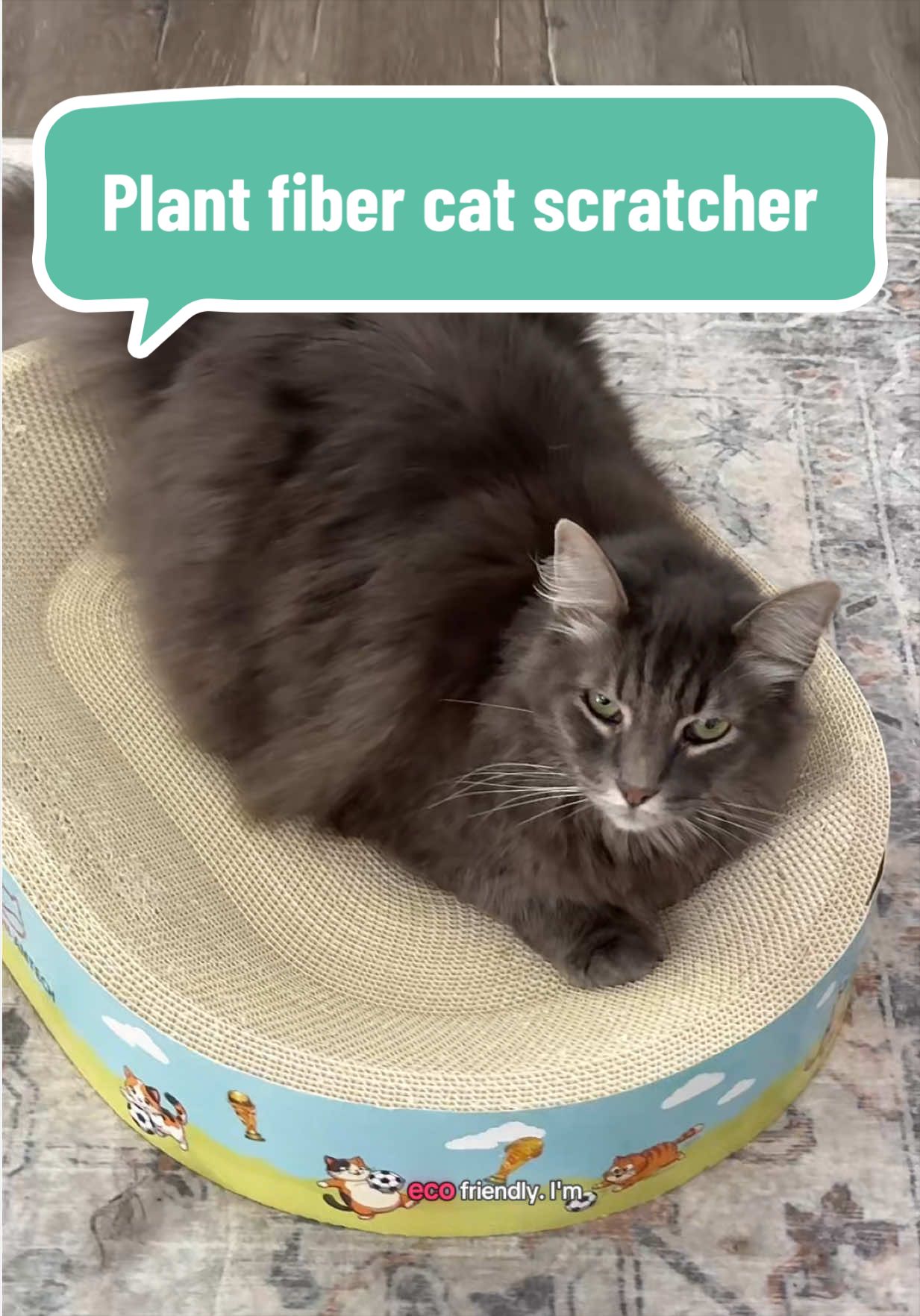TikTok post by an influencer for FANJUN-PETHOUSE-P. Caption reads: [...] #catenrichment @FANJUN-PETHOUSE-P #cattok.
