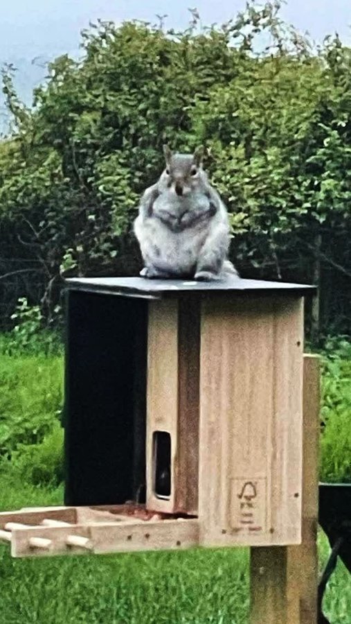 Instagram post by @feedingsteven for Birdfy. Caption reads: [...] my dad an upgrade with the a new Metal....