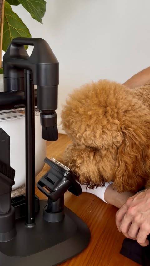 Instagram post by @lcoop_13 for Dreame. Caption reads: [...] 🔗 Link in Bio for more info 🏠💨 #Dreame....