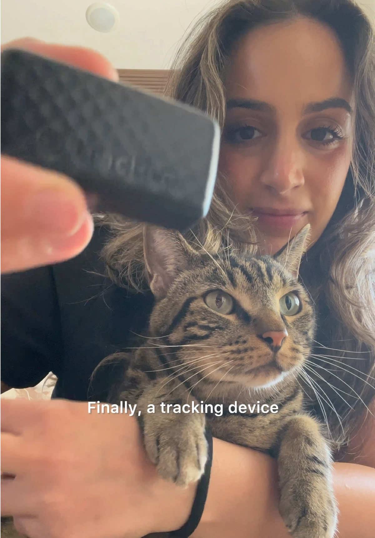 TikTok post by @dontstopmeowing for Tractive. Caption reads: Now, I’ll always have my eyes on Chase wherever he....