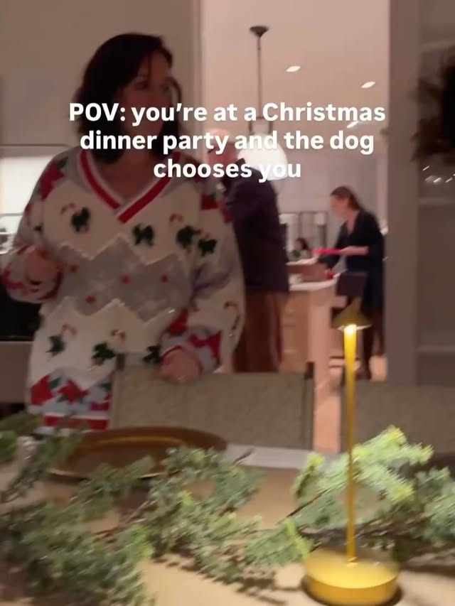 Instagram post by @kirasabin for WeRateDogs. Caption reads: It’s Fluffy Friday, friends! 🐐🦉🦥🐑
Where I....