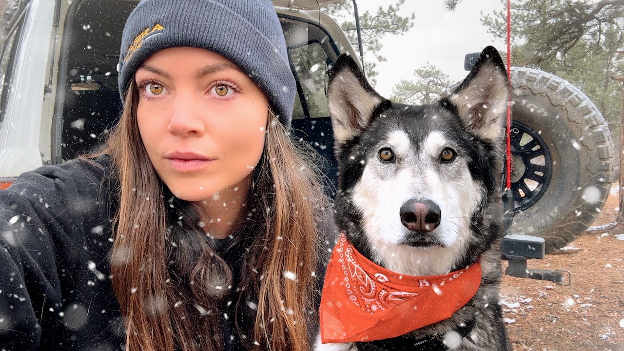 YouTube post by @REGRETLYSS for Anker SOLIX. Caption reads: solo winter camping with my wolfdog (cold and....