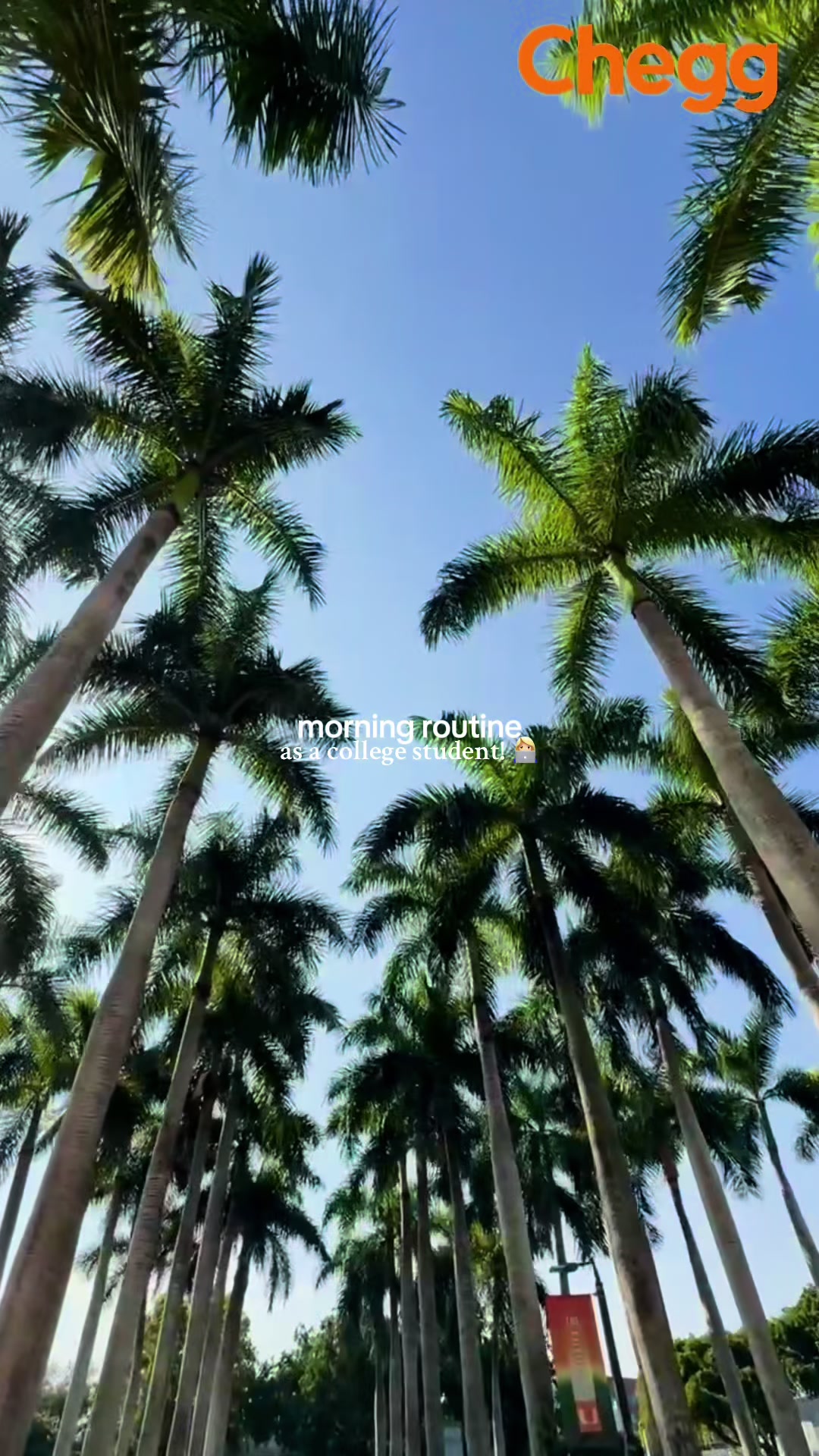 TikTok post by @quincyhytko for Chegg. Caption reads: college morning in my life! 🌴 @Chegg #chegg #ad....