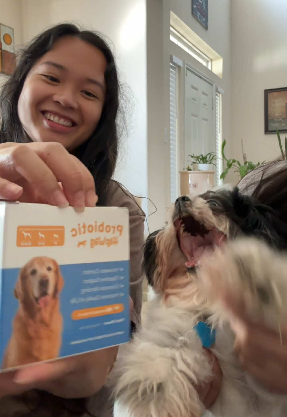 TikTok post by @krishairaa for HapWag. Caption reads: [...] for cute & healthy dogs 🐶🫶🏽 @HAPWAG PETS....