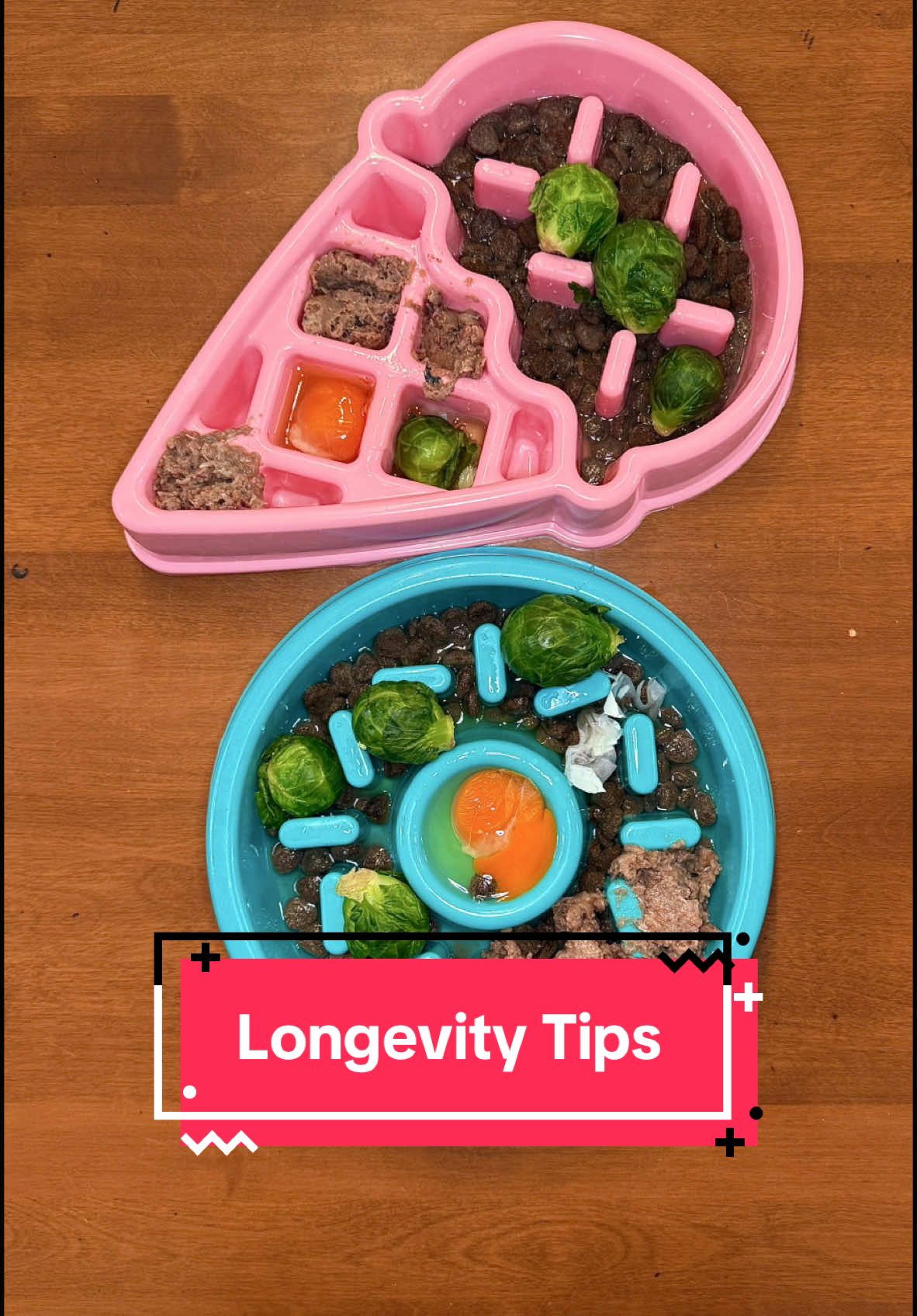 TikTok post by @kaylakowalskinutrition for Oma's Pride. Caption reads: Tips to help your dog live a healthier life 🐶 30%....