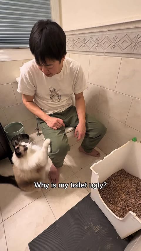 Instagram post by @ragdollrangers for PetSnowy. Caption reads: [...] upgraded my fur babies’ litter box.....