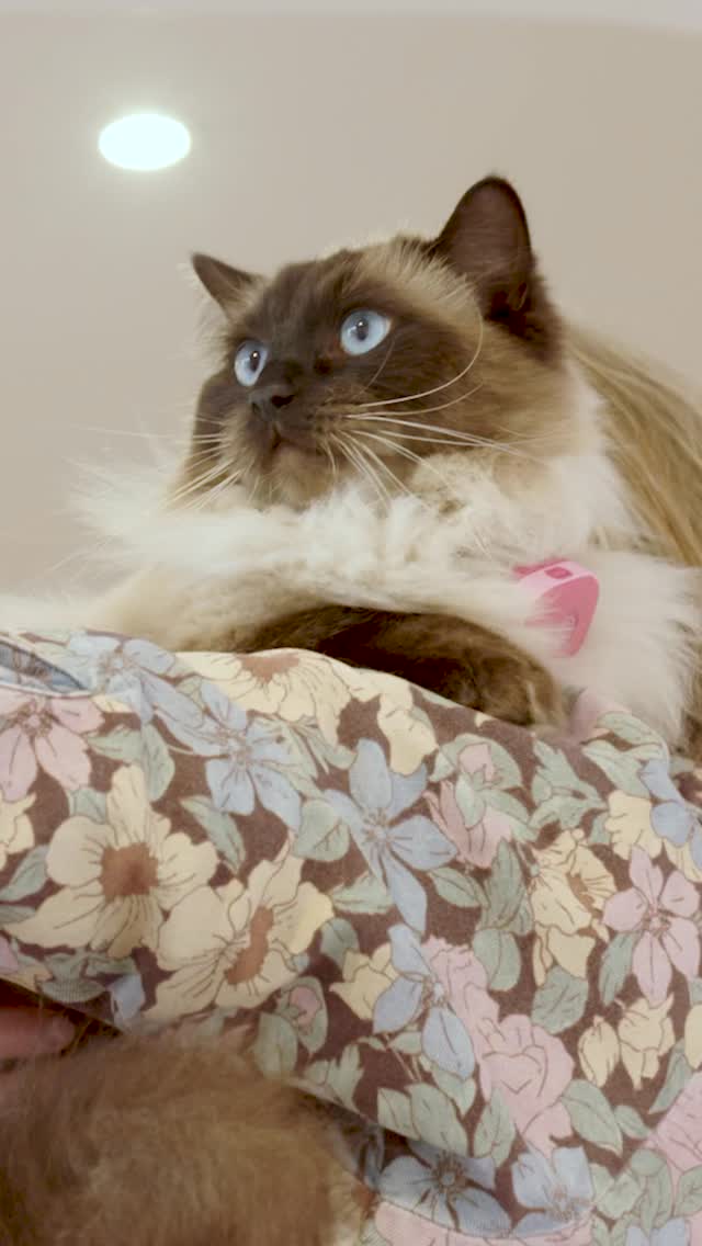 Instagram post by @louliesanders for Life360. Caption reads: Dr Lou Little’s been sneaking around again - this....