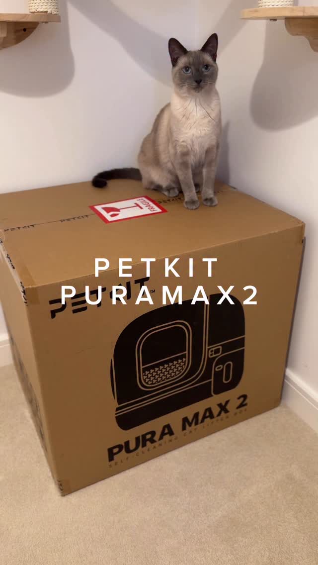 Instagram post by @artymidnightandboo for Petkit. Caption reads: [...] excited about this collaboration with....