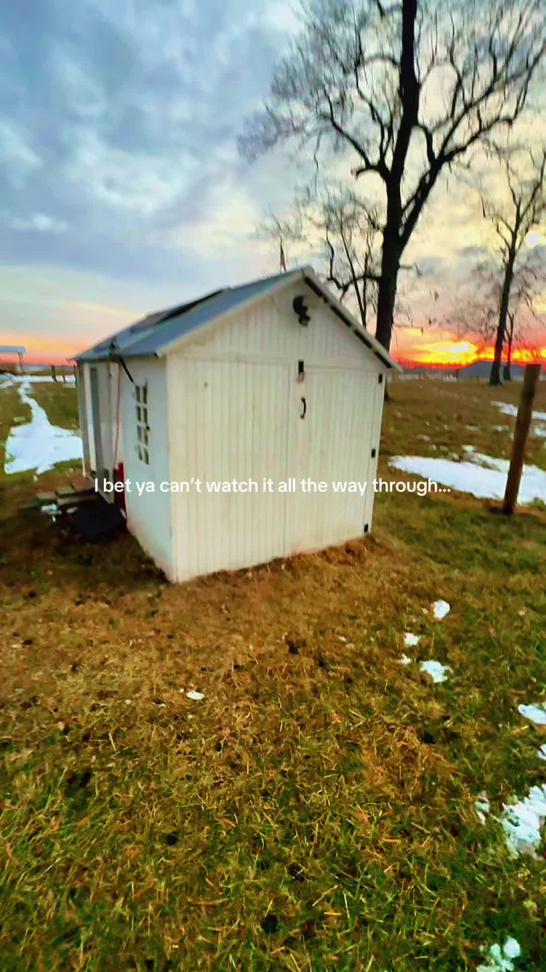 TikTok post by @wildsunsetshomestead for Olight. Caption reads: [...] eggs and 1 duck egg. 9 eggs total. @OLIGHT....