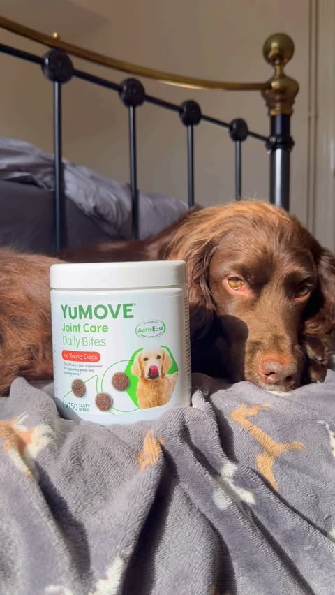 Instagram post by @herbie.werbie for YuMOVE. Caption reads: [...] want to know what happened when I tried....