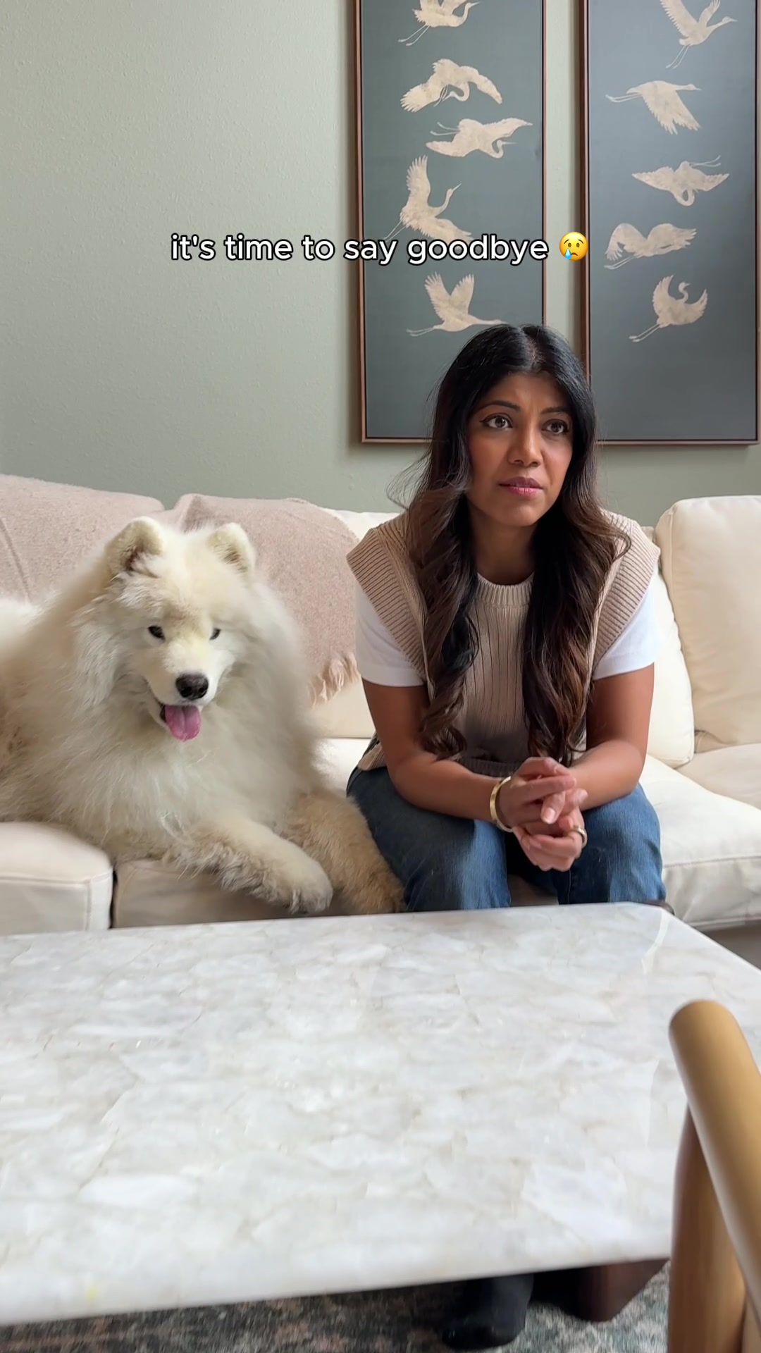 TikTok post by @life.with.a.landcloud for PetSmart. Caption reads: [...] making your relationship decisions 😉....