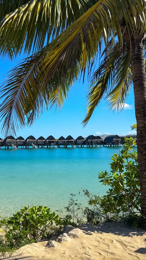 Instagram post by @bashabroad for American Airlines. Caption reads: My type of rich 🥰 Traveling and making memories....