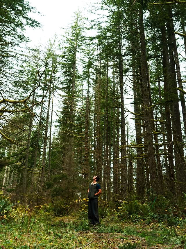 Instagram post by @caidenjacksontravel for Free Country. Caption reads: [...] to snowy mountains, i’ll be in my....