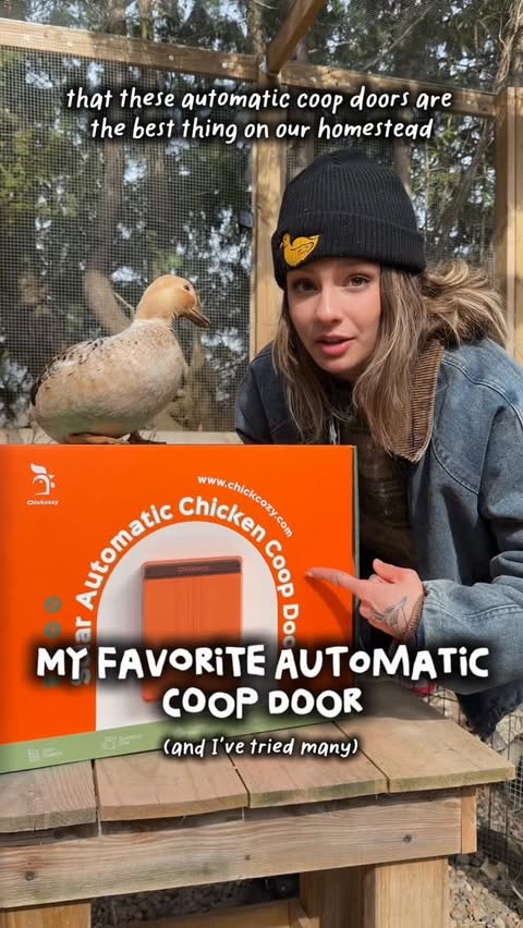 Instagram post by @cheez_and_quacker for Chickcozy. Caption reads: Big fans of @chickcozy_ products, and ESPECIALLY....