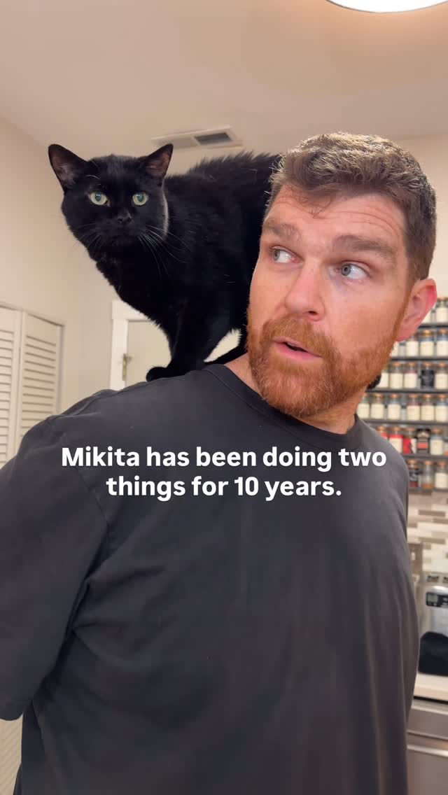 Instagram post by @chicagoblackcat for Darwin's Natural Pet Products. Caption reads: Mikita is our only shoulder riding cat. Does your....