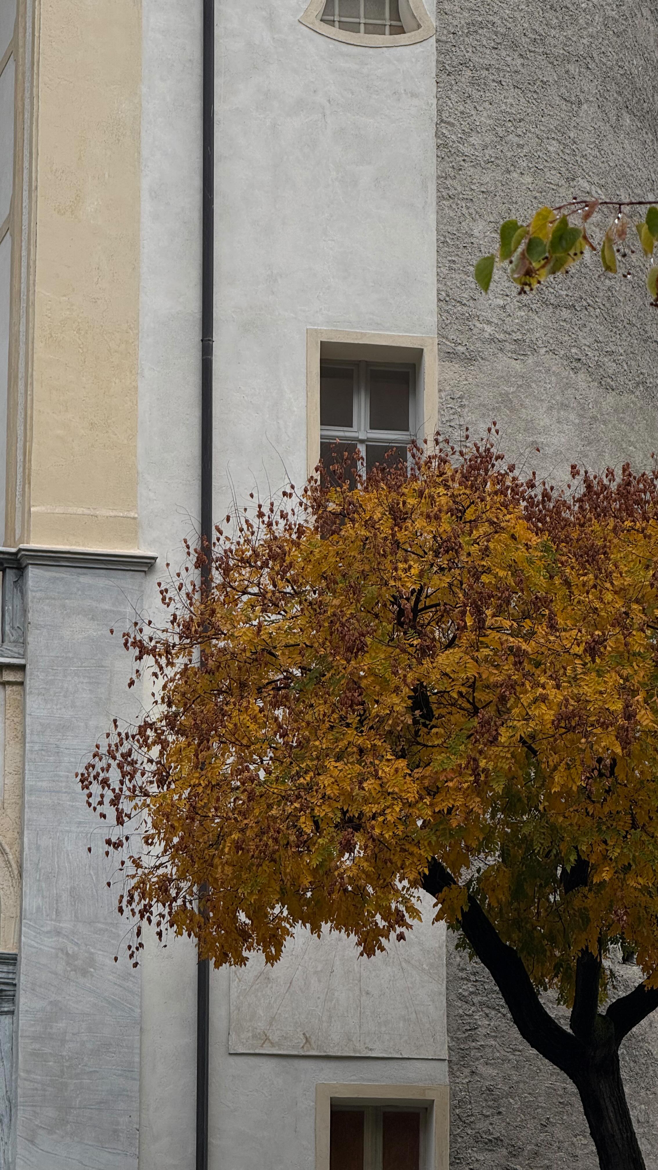 Instagram post by @beaparozzi for Imperial Fashion. Caption reads: Can’t do anything without my @imperialfashion....