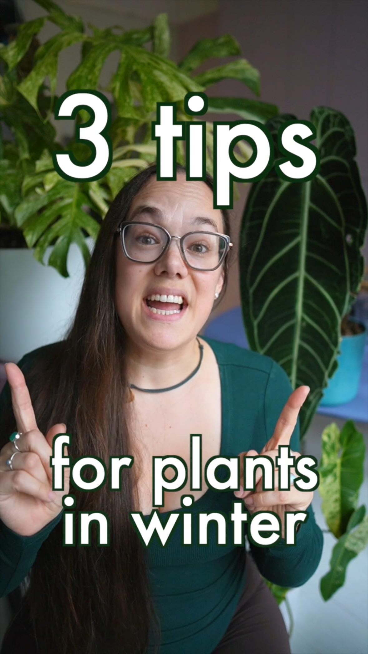 Instagram post by @plantwithroos for Soltech. Caption reads: [...] know all of these?). Growlights by @soltech....