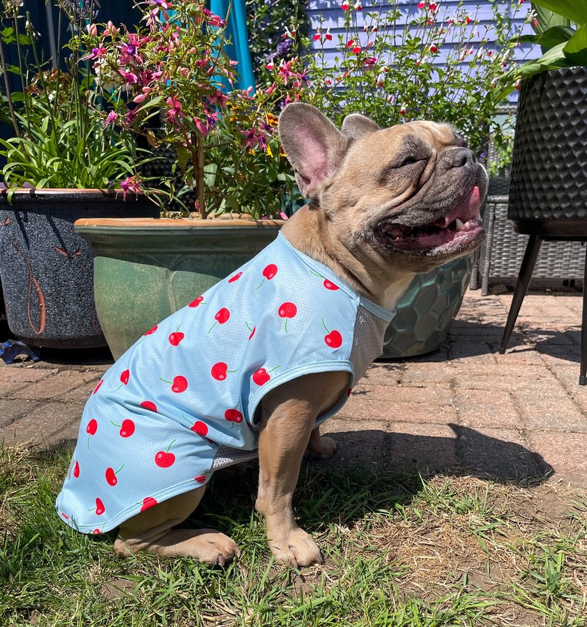 Instagram post by @prettypennyandindy for Fitwarm. Caption reads: [...] pool in them 🤭 ☀️ Check them out at....