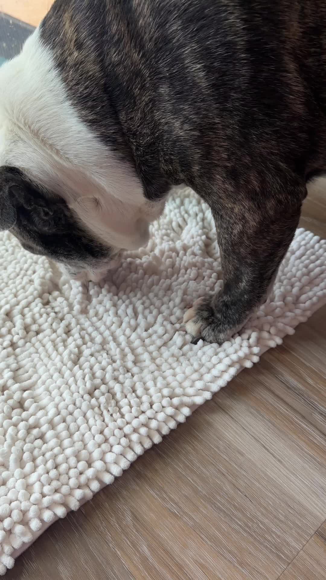 TikTok post by @thebulldognest for Muddy Mat. Caption reads: [...] VERY upset that the antimud mat from @Muddy....