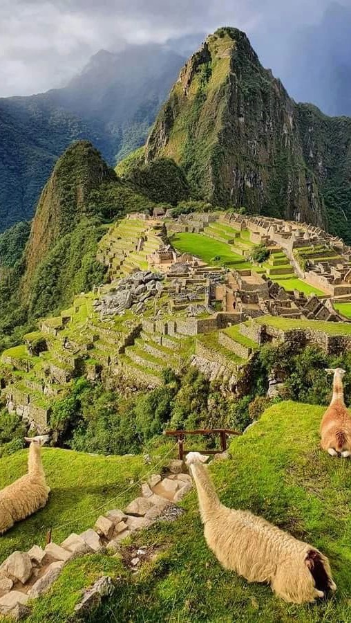 Instagram post by @tiffanyapb for Tessan. Caption reads: quick trip to peru powered by my Tessan travel....