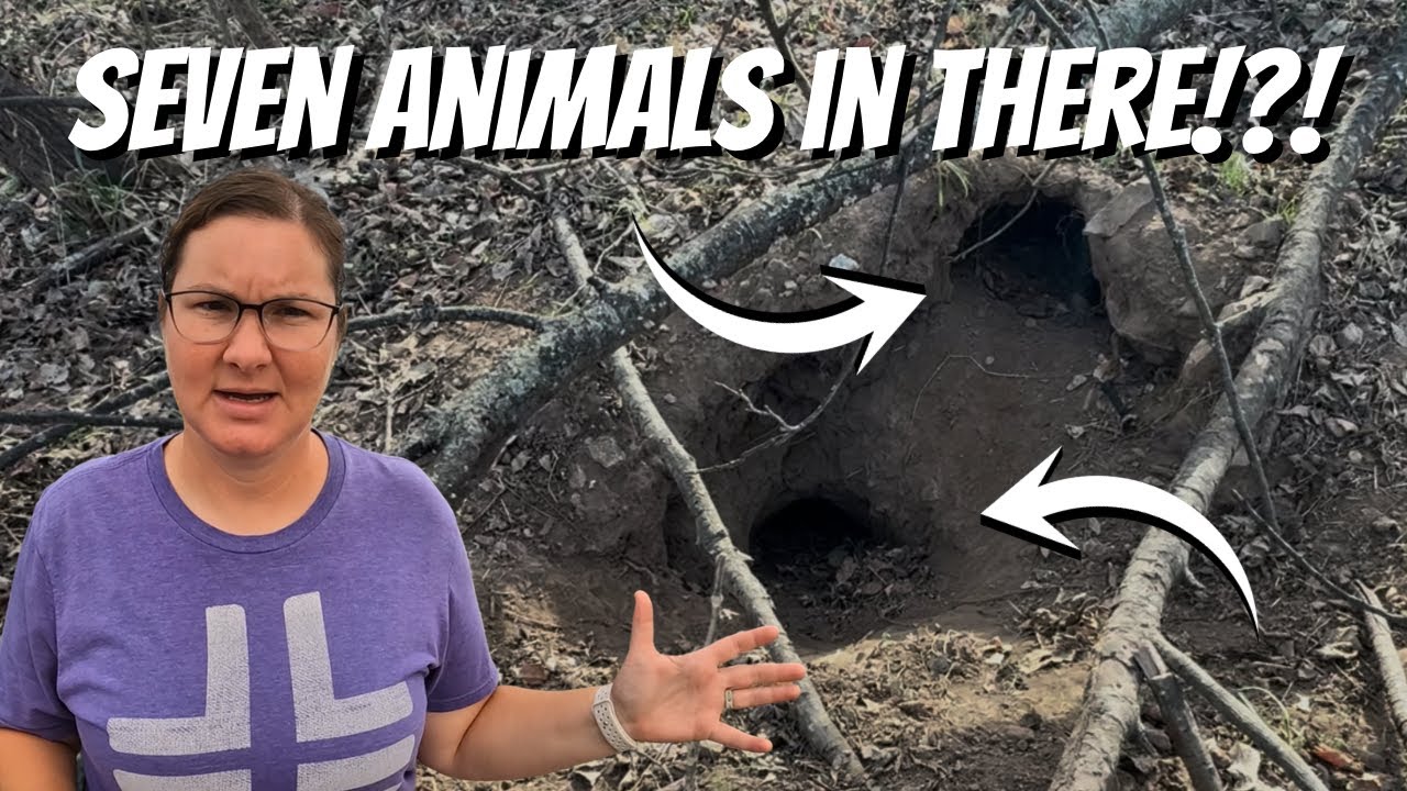 YouTube post by @WalkerFarmFam for Glacierfresh. Caption reads: TRAIL CAMERA CAUGHT WHAT WAS HIDING IN THE DEN.