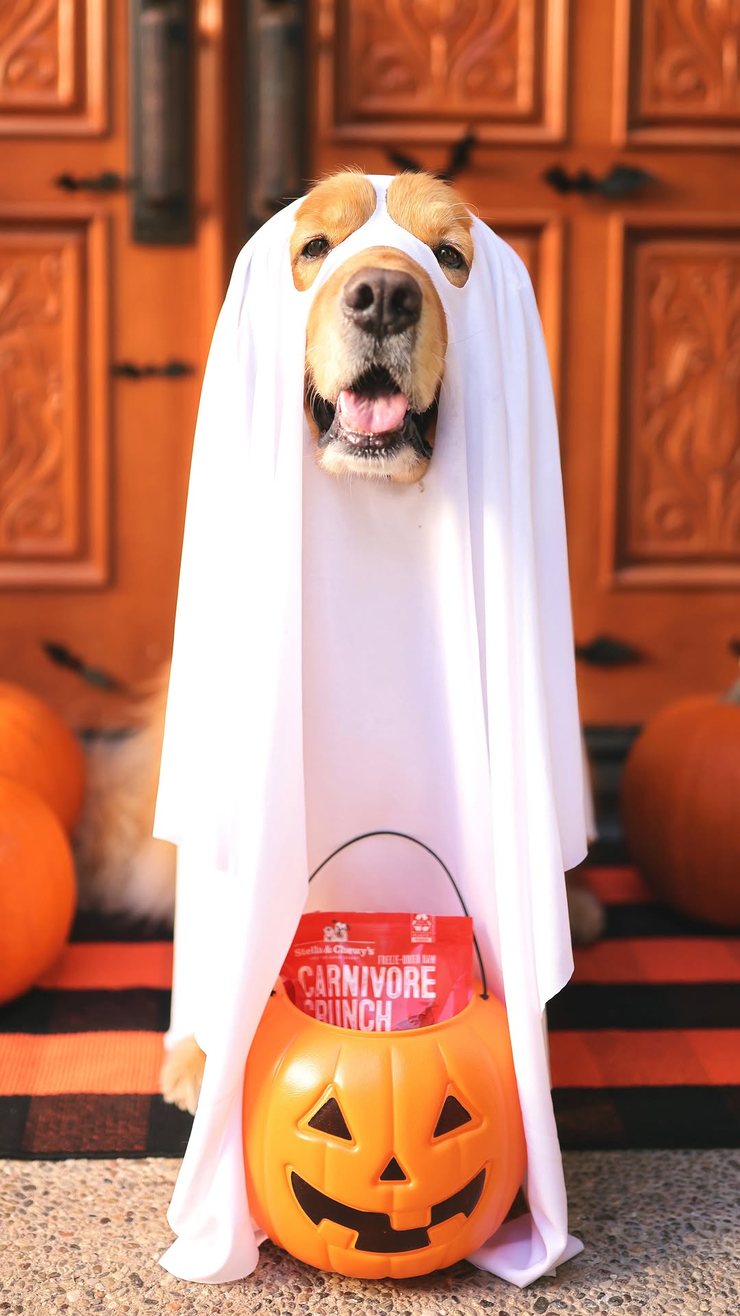 Instagram post by @thatgoldendog for Stella & Chewy's. Caption reads: How many treats would you give him? 🥹 P.S. His....