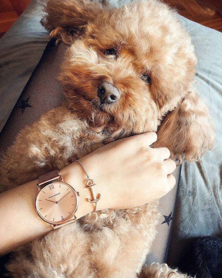 Instagram post by @ambrabny for PAUL HEWITT. Caption reads: [...] bear 🐻💕 Watch Set ✨ by @paul_hewitt....