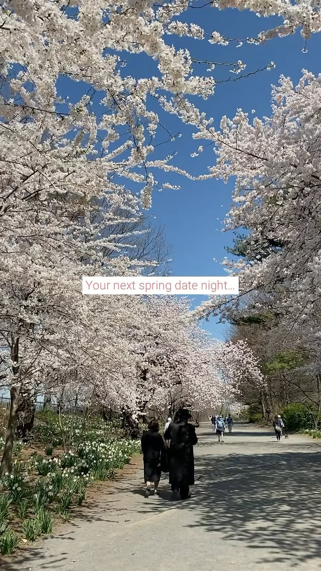 Instagram post by @uesthings for Secret NYC. Caption reads: 🌸 Spring has arrived in NYC! Flowers are....
