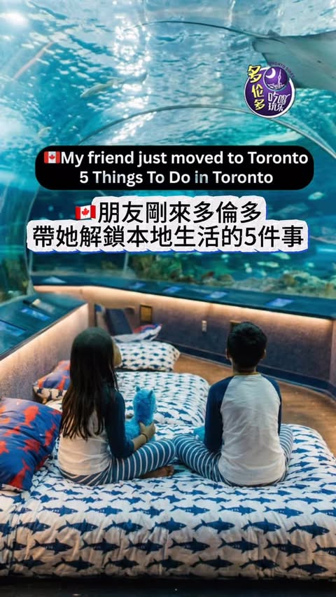 Instagram post by @toronto_diary for BMO. Caption reads: [...] 🌟 Shop a grocery outlet 💳 Paid with my BMO....