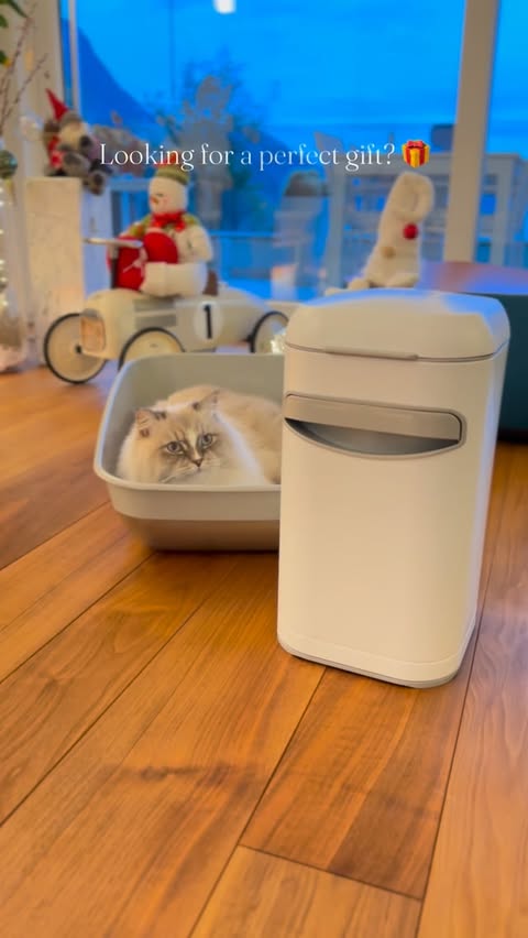 Instagram post by @benjaminfrost_ for Litter Genie. Caption reads: [...] had giardia as a kitten 🥺

The....