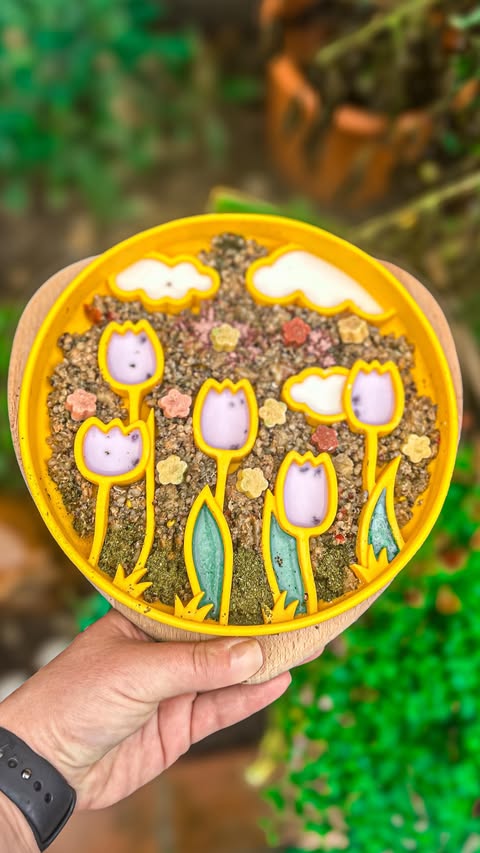 Instagram post by @harley_and_zola for Fur the Love of Toys. Caption reads: 🌷Zola - Flowers to brighten your day ..

Whats in....