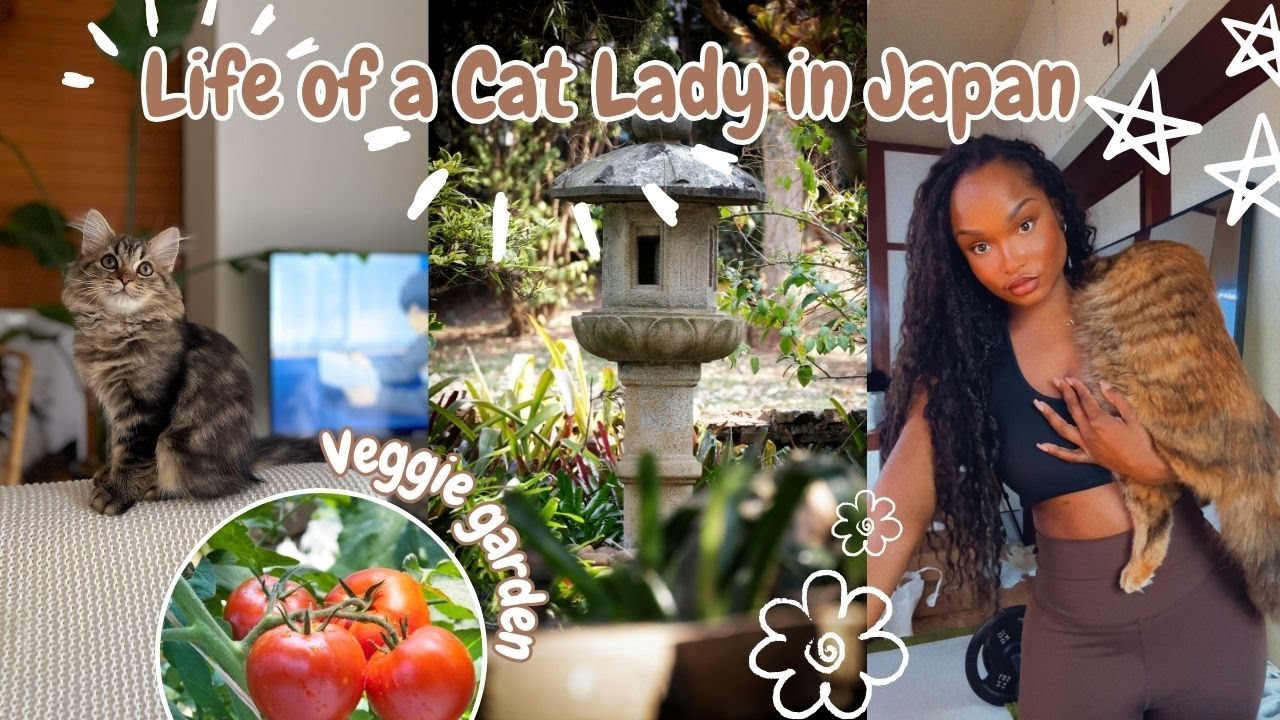YouTube post by @SundaiLove for Squarespace. Caption reads: End of summer in Japan | Balcony veggie garden,....