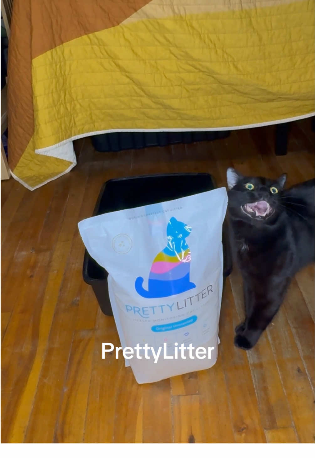 TikTok post by @kagedenny for PrettyLitter. Caption reads: #Ad Tuma is in his self care era with....