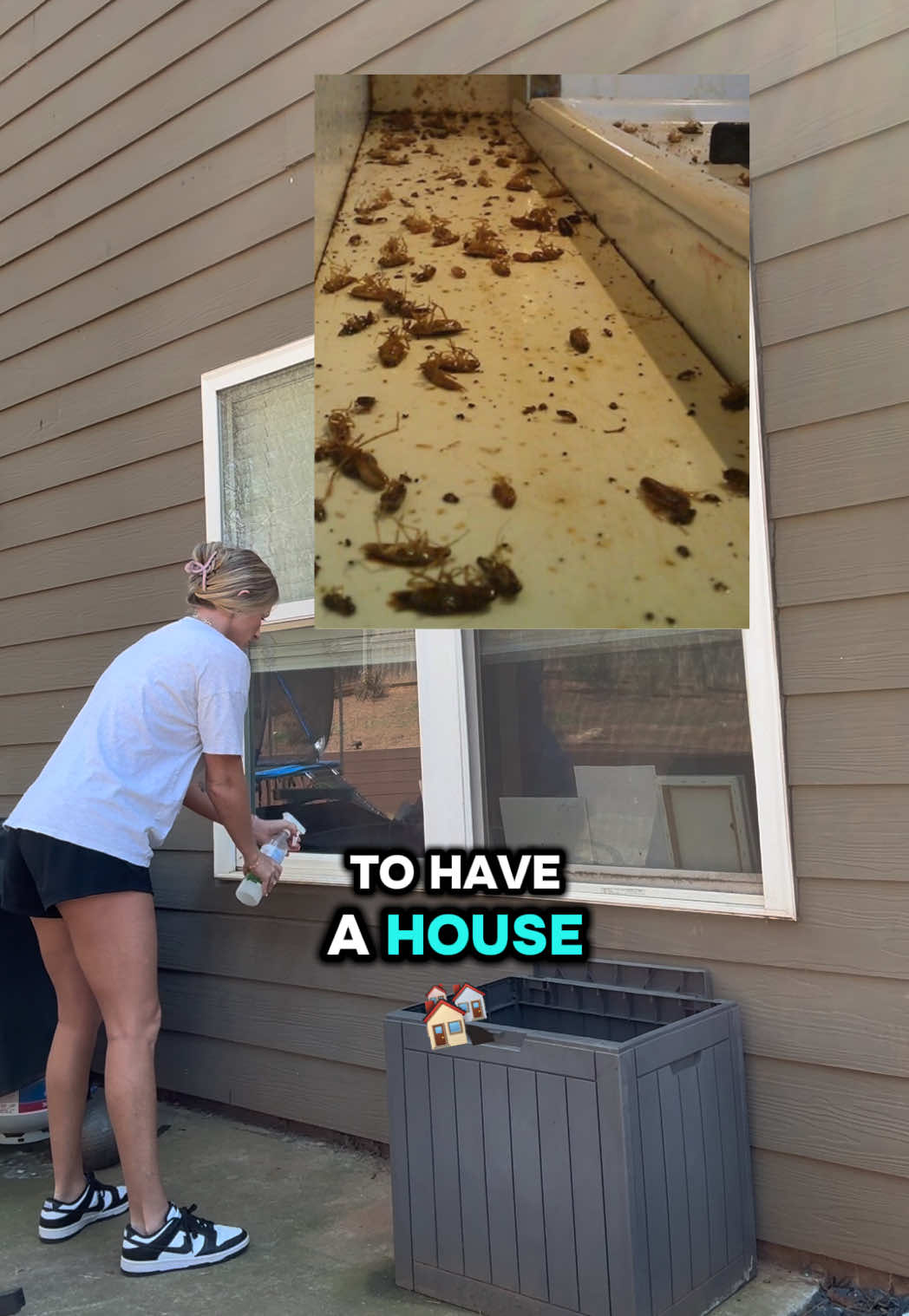 TikTok post by @notyouraverage_karen for Reliant Pet. Caption reads: [...] #nontoxic #cleaningtips #homehacks @Reliant....