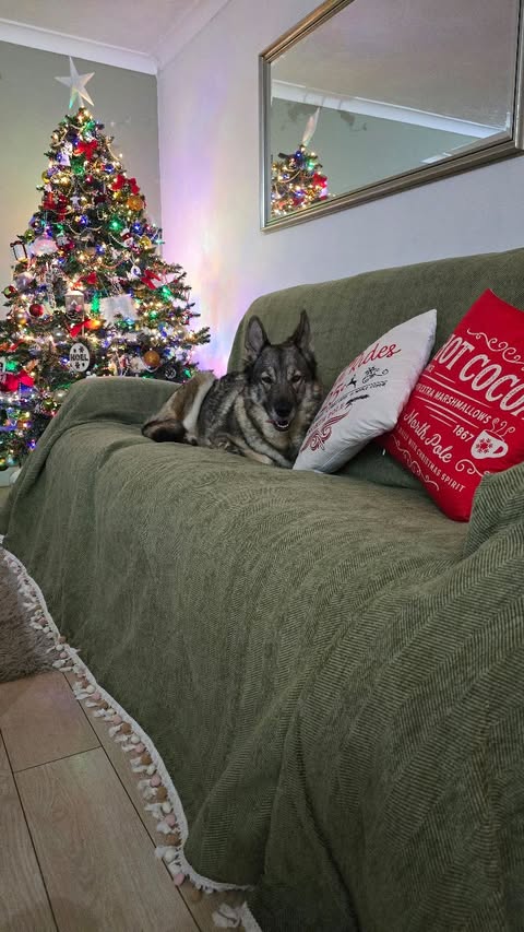 Instagram post by @gracesummerivyandmummy for slashop. Caption reads: AD| My @slashopofficial sofa upgrade has made me a....