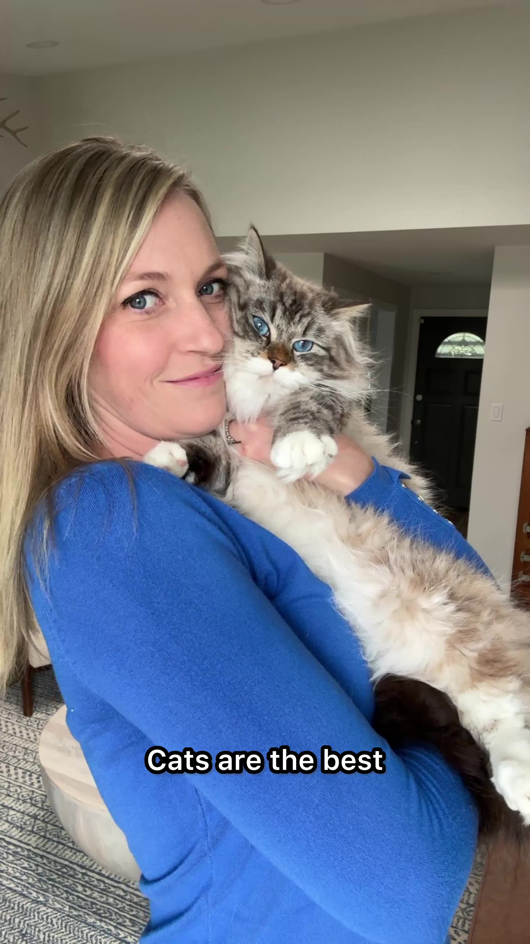 TikTok post by @catnamedsquirrel for PrettyLitter. Caption reads: [...] for 20% off your first order! #ad....