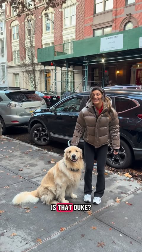 Instagram post by @dukethegolden for ACANA Petfoods. Caption reads: Feeding Duke healthy food is ALWAYS a priority of....