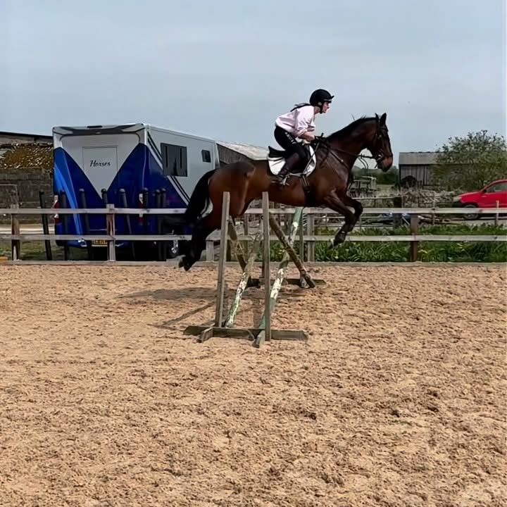 Instagram post by @thewalkingequestrian for Whale Of A Time Clothing. Caption reads: [...] to happen regardless💛 Thank you....