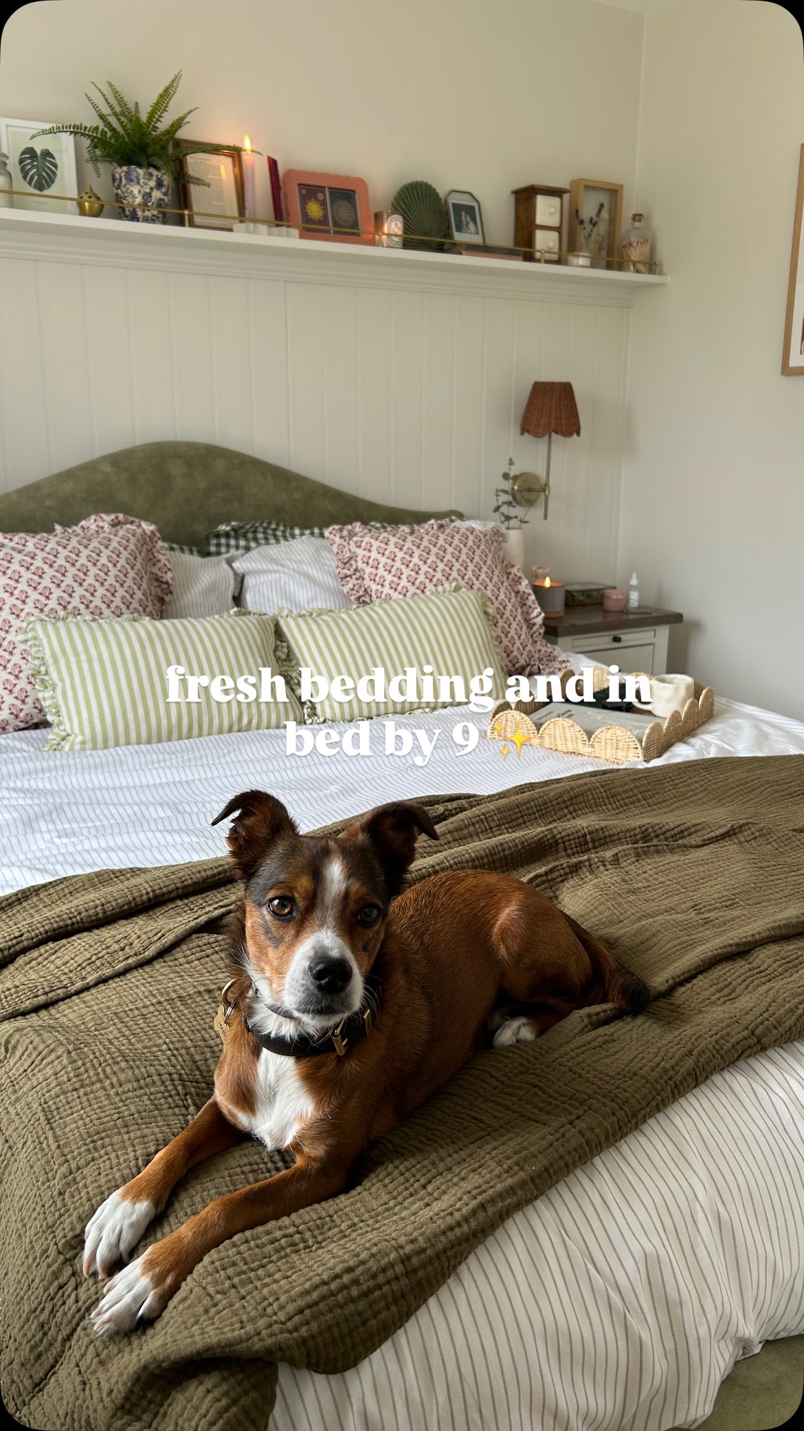 Instagram post by @inthedoghouse___ for furn.. Caption reads: [...] linen cushions and throw prev ad @hellofurn....