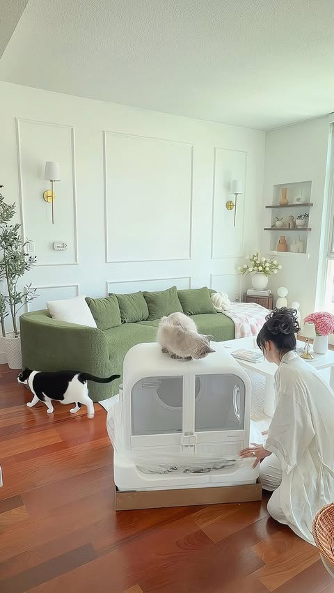 Instagram post by @chisapasc for Homerunpet. Caption reads: [...] 🐱✨ Bath day just got an upgrade. The....